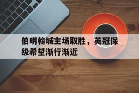 金年会中心-伯明翰城主场取胜，英冠保级希望渐行渐近的简单介绍